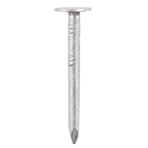 50 x 3.00mm Clout Nails Extra Large Head - Galvanised - 2.5kg TIMtub - GEC50T I The Builders Merchant Group Ltd