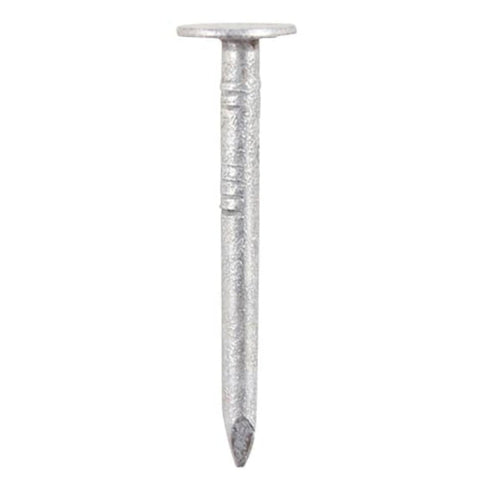 20 x 3.00mm Clout Nails Extra Large Head - Galvanised - 1kg TIMbag - GEC20B I The Builders Merchant Group Ltd